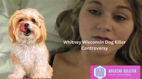 whitneywisconsin dog|K9Whitney (@K9Whitney) .